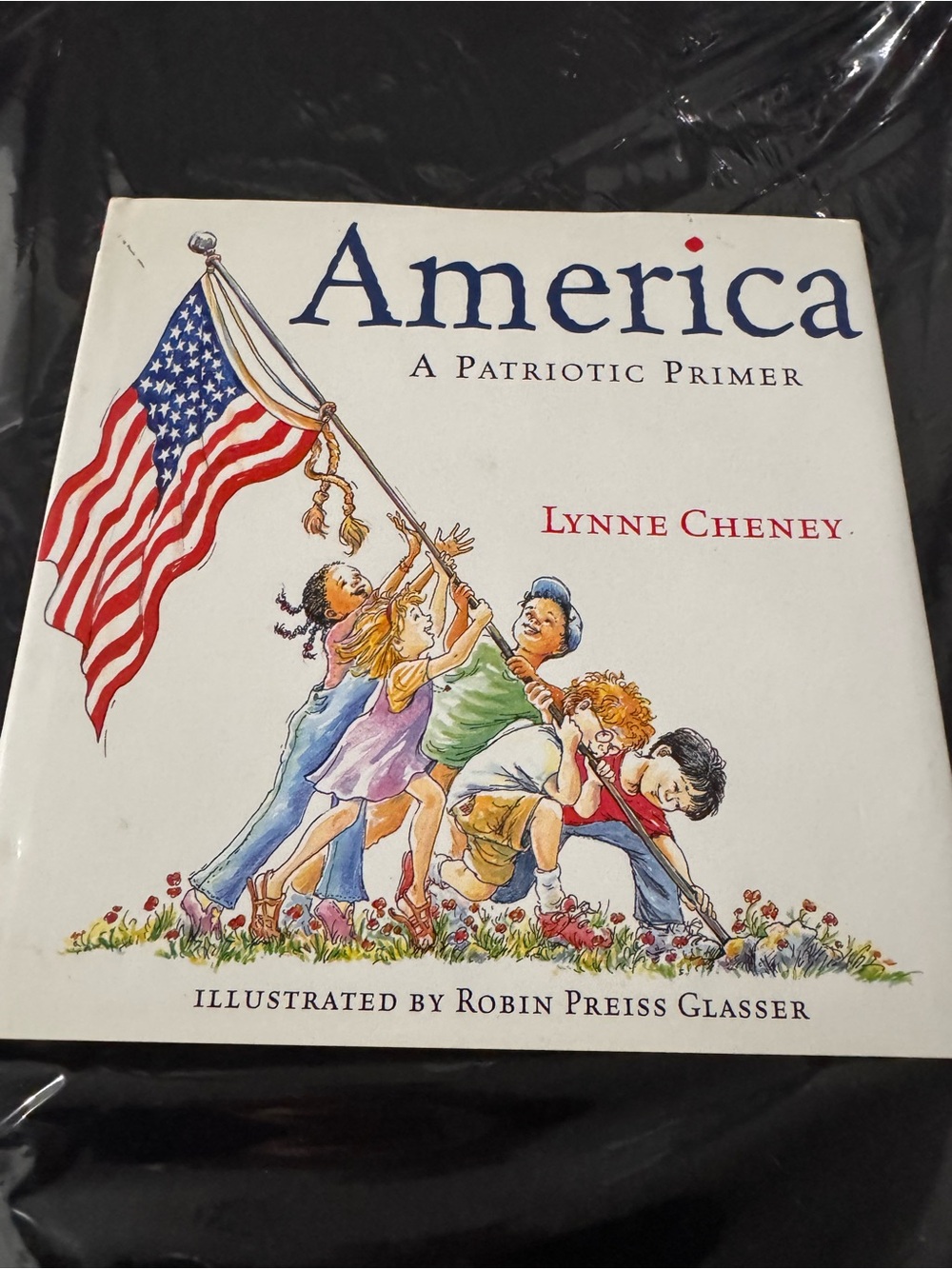 America: A Patriotic Primer by - White/Navy Cover